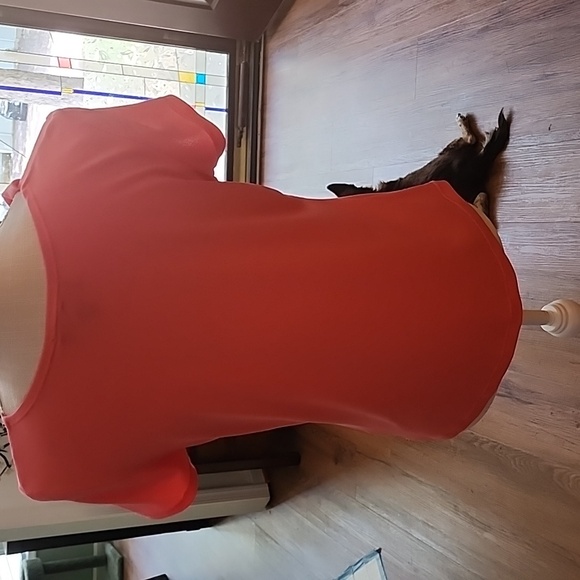 Top - Picture 2 of 3